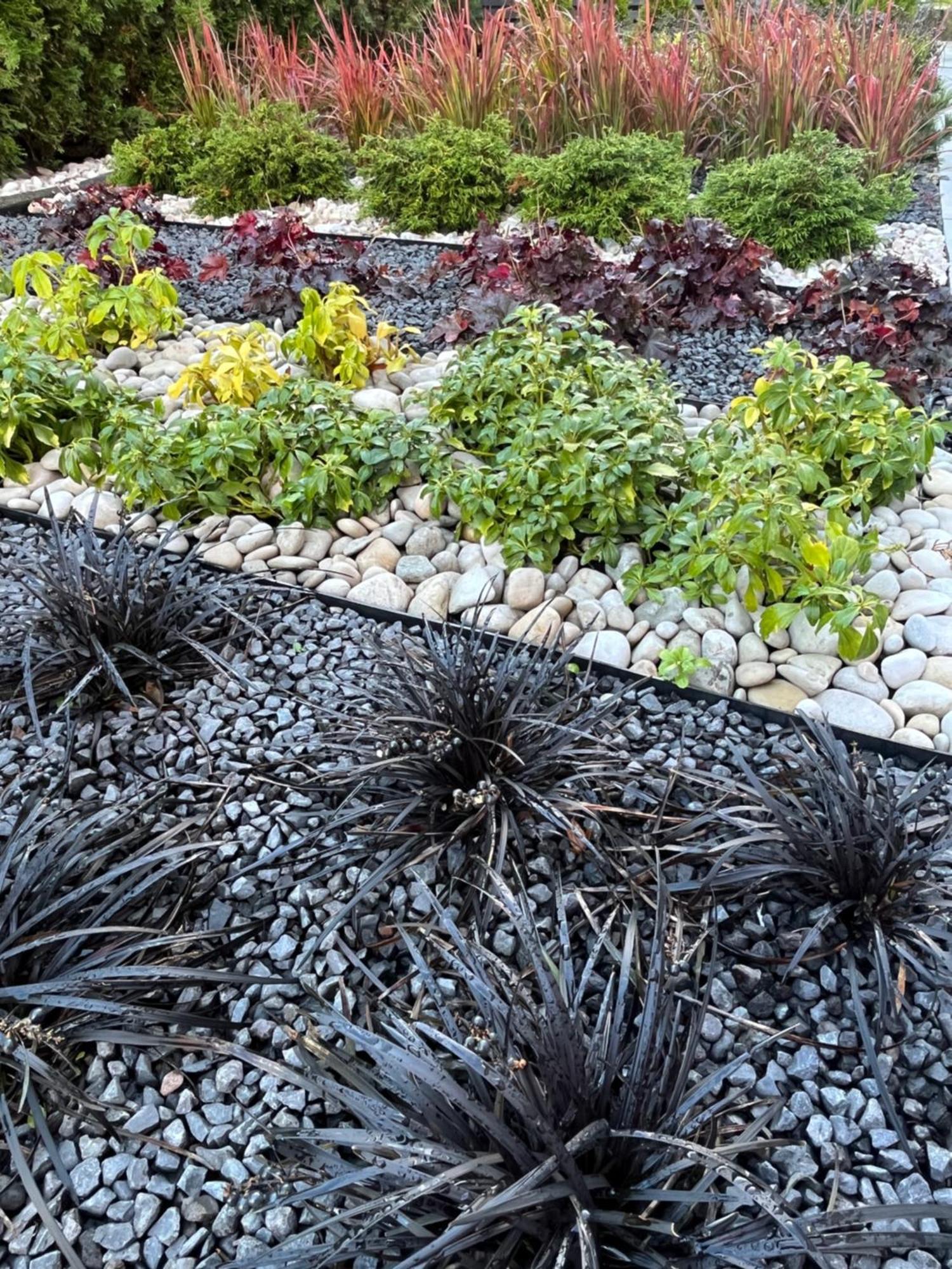 Bela - Pokoje Z Aneksami I Apartamenty Kołobrzeg Buitenkant foto